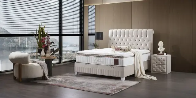 Lexus Baza Başlık