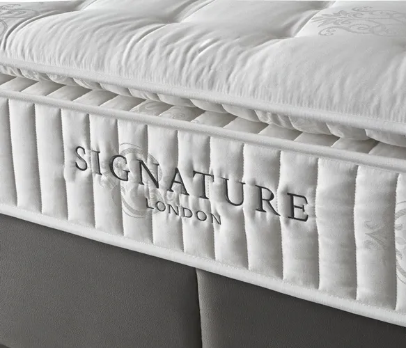 Signature Baza Başlık