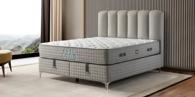 Cool Zone Baza Başlık