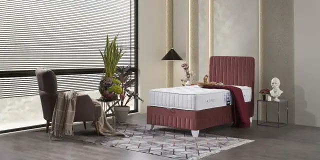 Dream Baza Başlık
