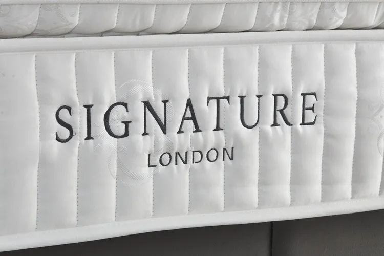 Signature Baza Başlık
