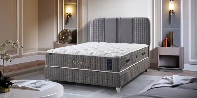 Qasis Baza Başlık