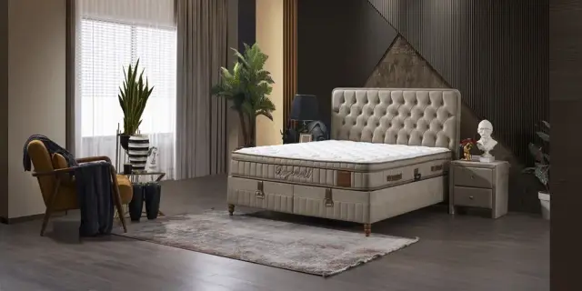 Begonvil Baza Başlık