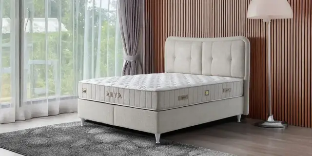 Arya Baza Başlık