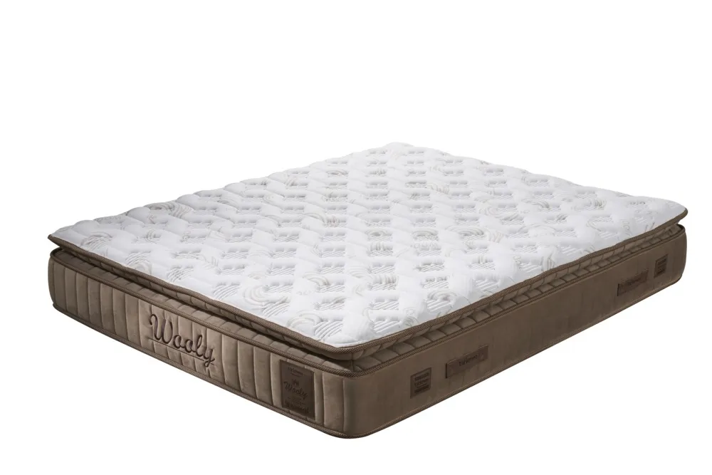 Wooly Baza Başlık
