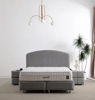 Troya Baza Başlık