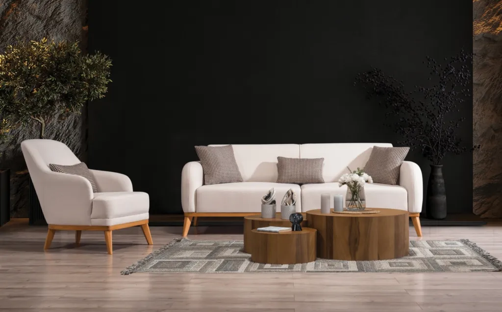 Asos Koltuk Takımı