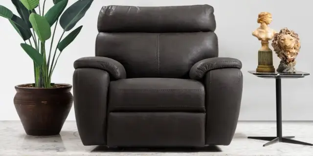 Maximo Tv Koltuğu