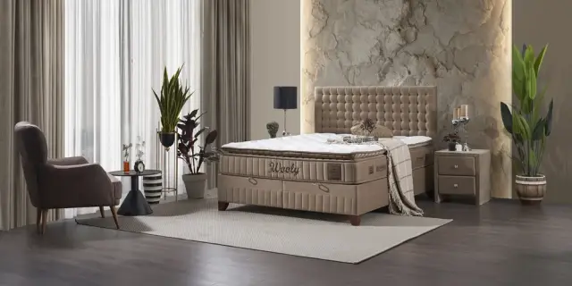 Wooly Baza Başlık