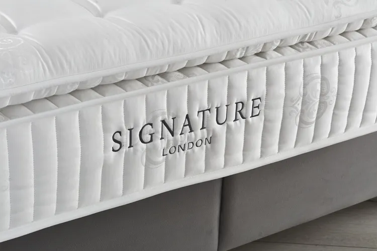 Signature Baza Başlık