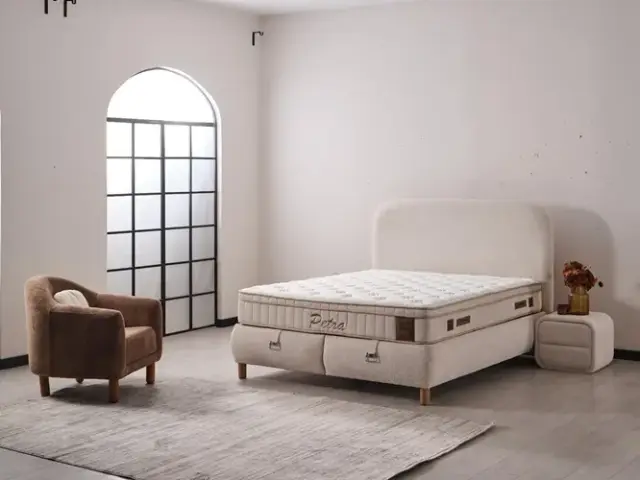 Petra Baza Başlık