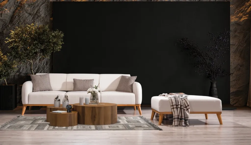Asos Koltuk Takımı