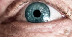Retina Hastalıkları