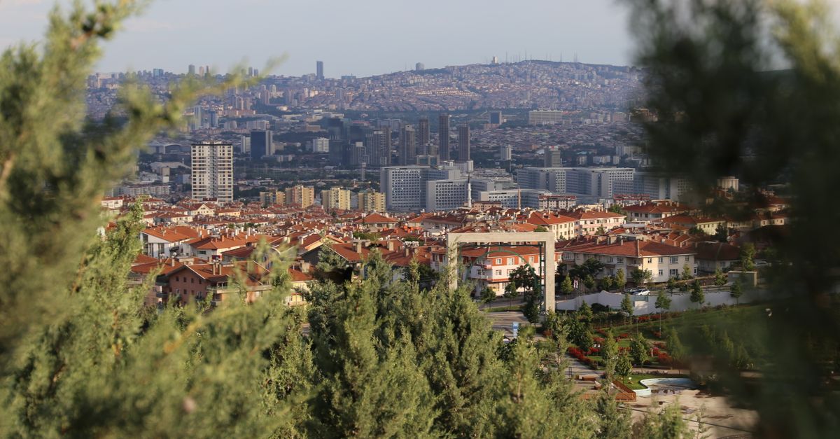 Dört Mevsim Bakımlı Bahçe İçin Bakım Takvimi