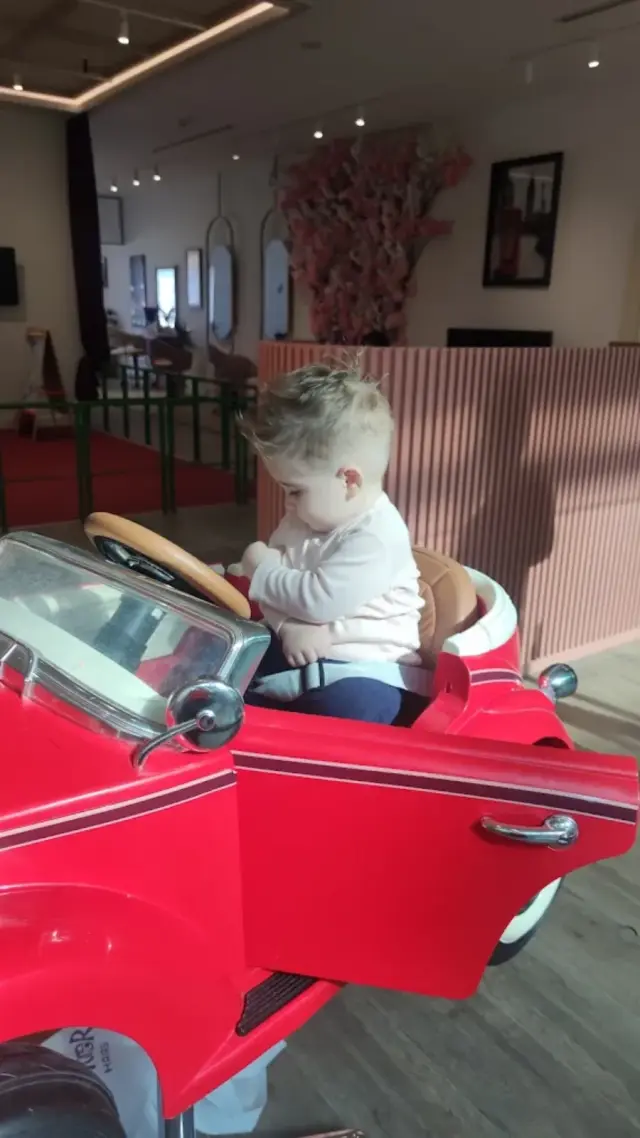 Klasik arabalı koltukta yeni kesimli bebek