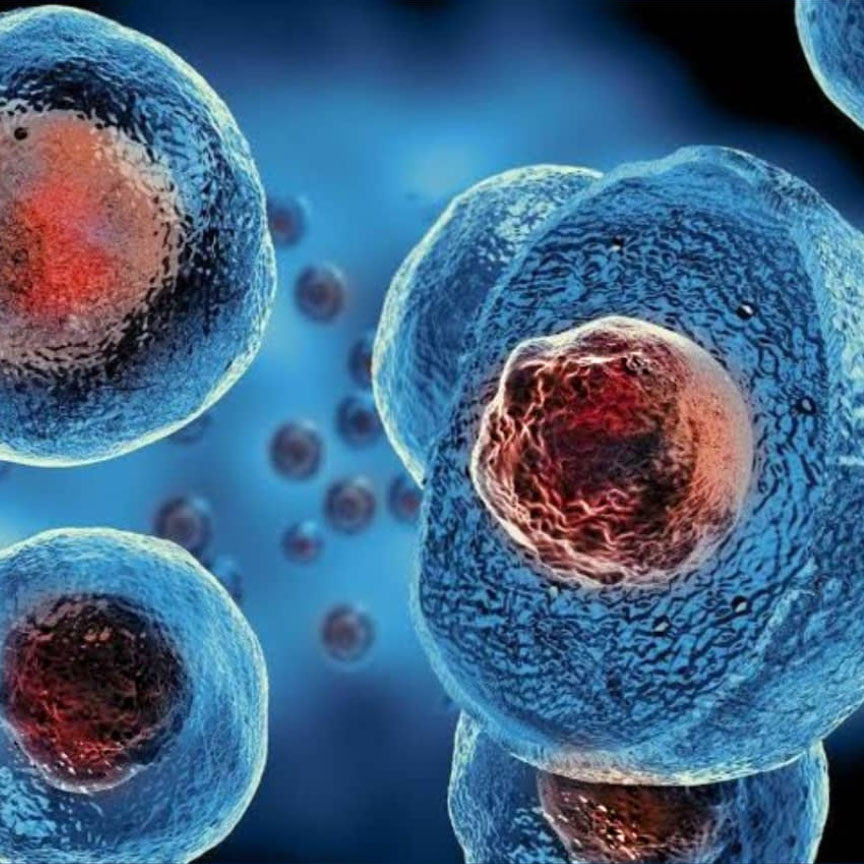 Gental Siğil (Kondilom) ve HPV