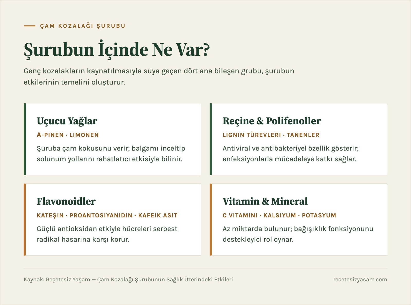 Çam kozalağı şurubunun içindeki bileşenler: uçucu yağlar, reçine ve polifenoller, flavonoidler, vitamin ve mineral