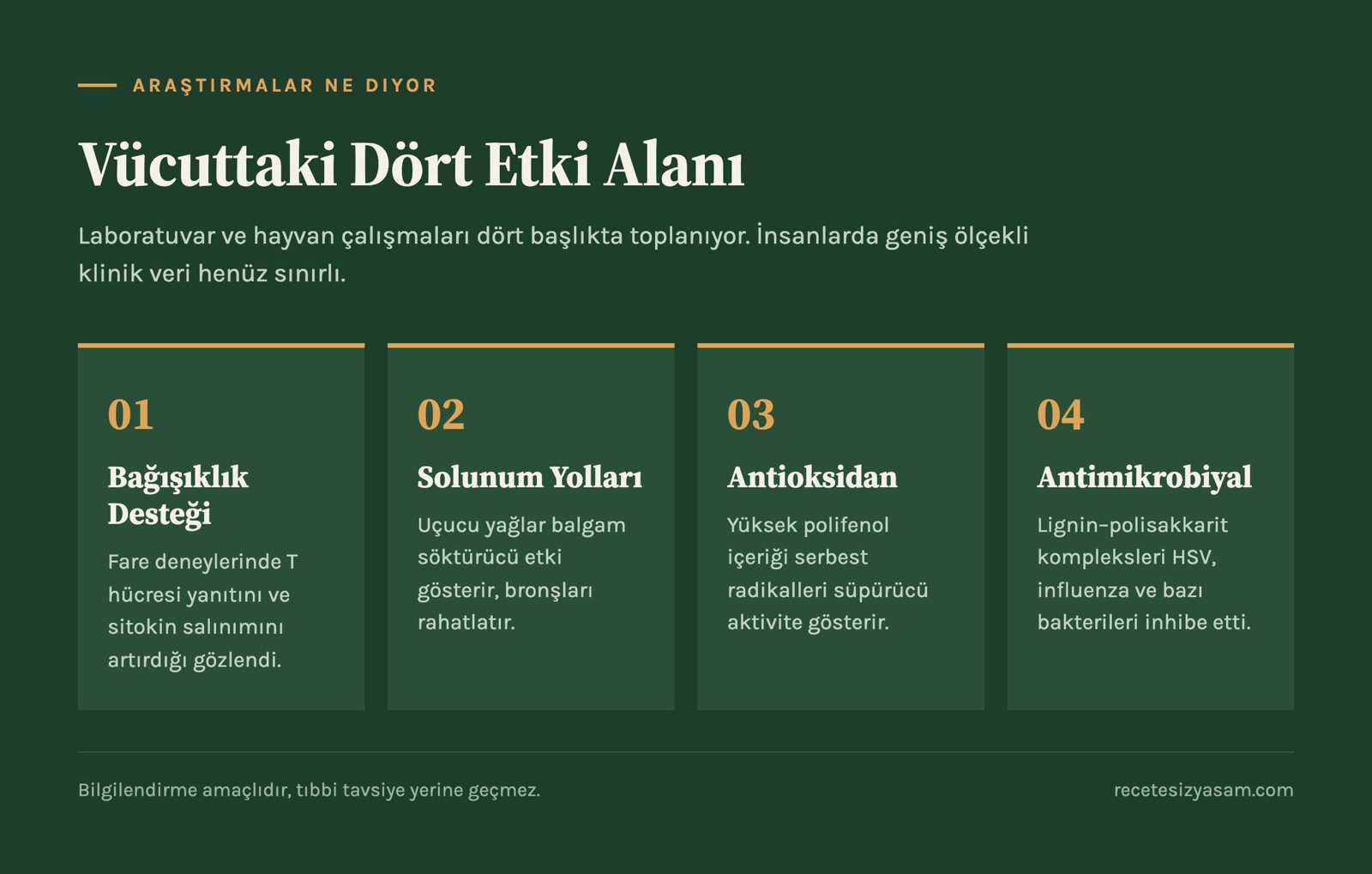 Çam kozalağı şurubunun vücuttaki dört etki alanı: bağışıklık, solunum yolları, antioksidan, antimikrobiyal