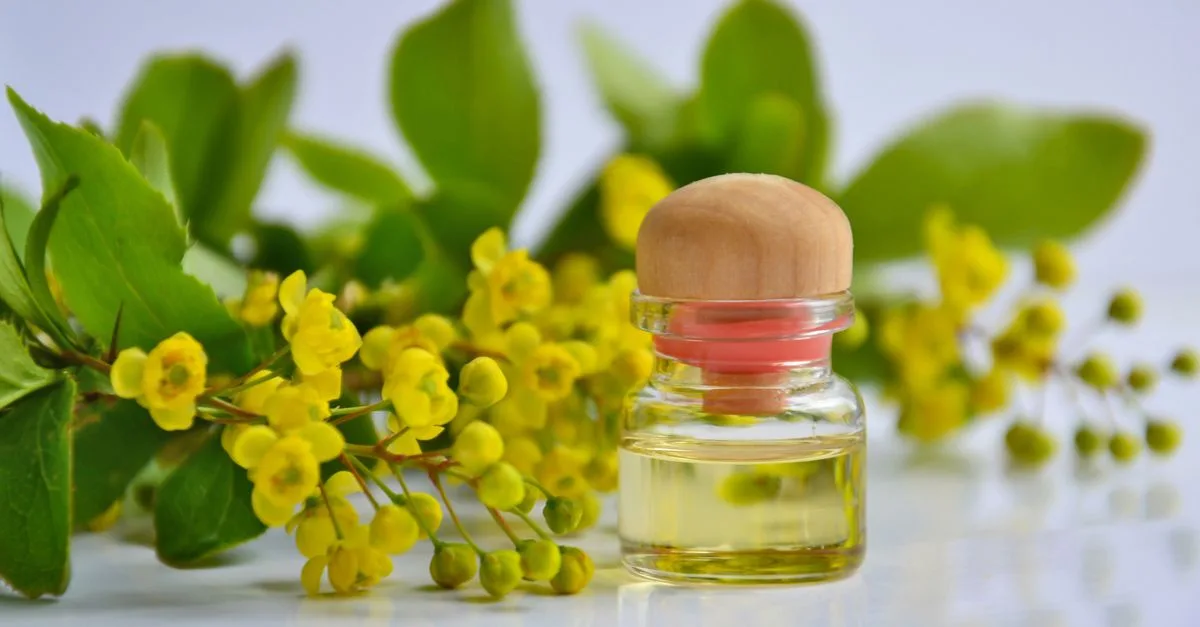 Bitkisel Yağlar ve Aromaterapi Rehberi: Faydaları, Kullanımı ve Seçimi